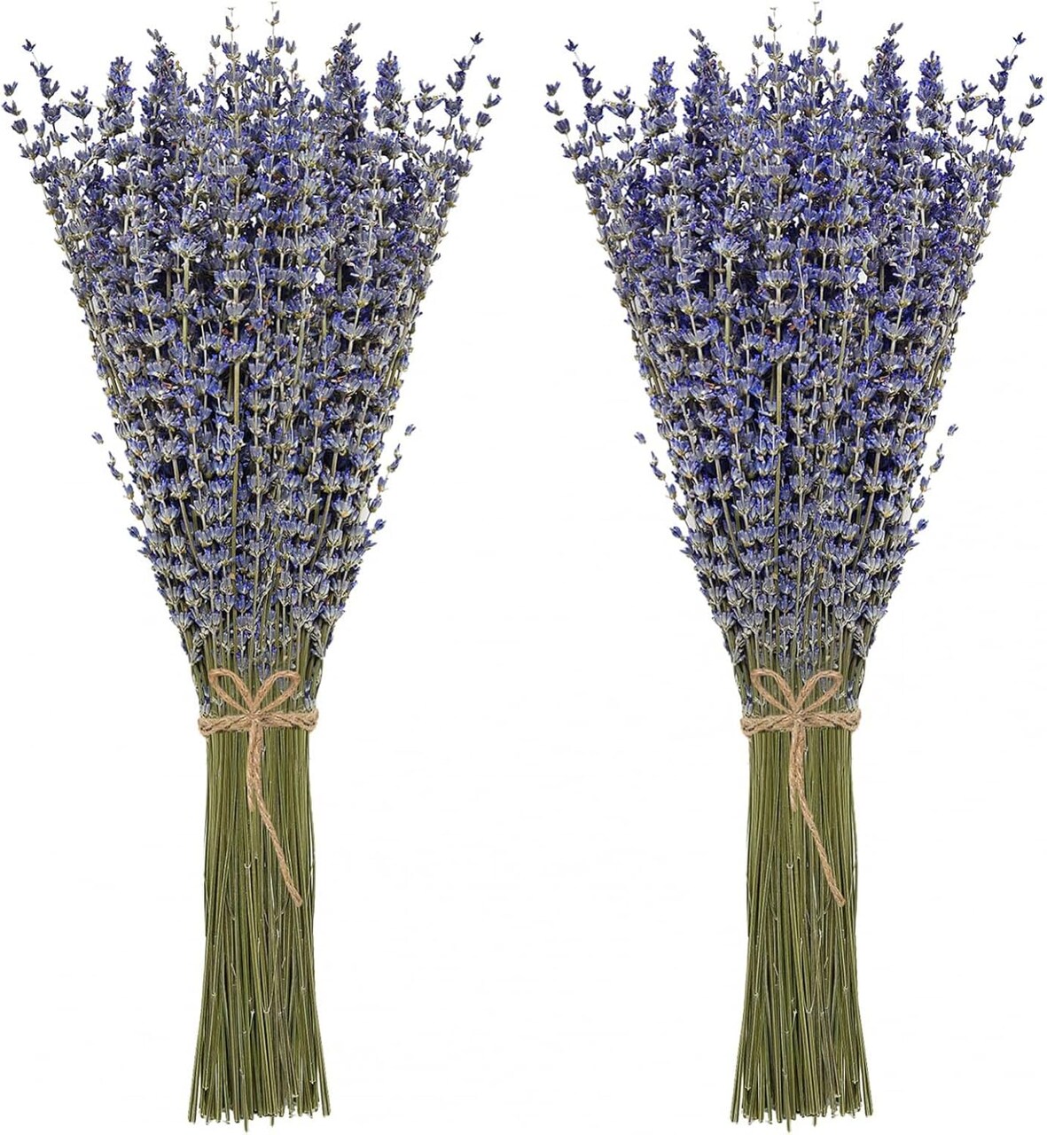 Dried Lavender Bundles 100 Natural Dried Lavender Flowers for Home Decoration, Photo Props, Home Fragrance, 2 Bundles Pack